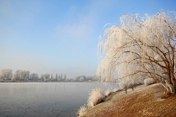 Winter an der AltenDonau in Wien