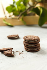 
Chocolate cookies with filling. Green flower in the background.