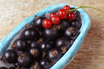 Berries on the plate. Black and red current macro shoot
