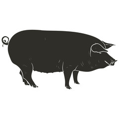 Template pig- black.