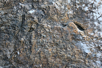 Texture and pattern of the stone.  