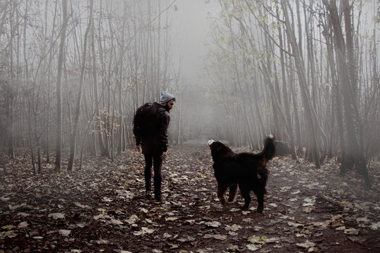 Dog and Man Walking in the Forest