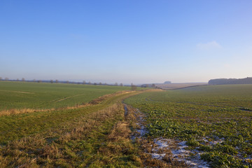 rural bridleway in winter