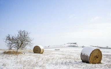 Winterlandschaft mit Felsen auf einer Anhöhe bei Oggau