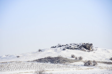 Winter im Weingarten und bei Hölzlstein