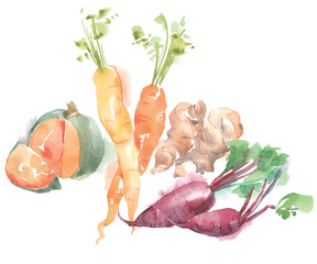 vegetables watercolor illustration - 132999054