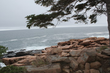 Michigan Rocky Shore