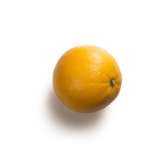 Orange Isolated on White Background