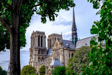Plakat Paris Notre Dame #5