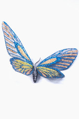 Butterfly decorative blue and yellow isolated on a white backgro
