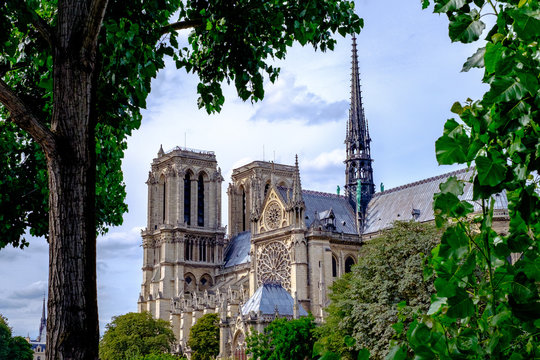 Paris Notre Dame #5