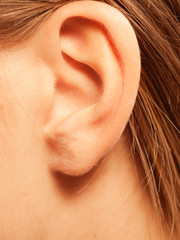 Close up on female ear