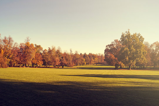 panorama autunnale con alberi e querce nel parco di Monza
