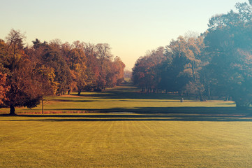 Paesaggio prospettico in autunno con alberi parco di Monza