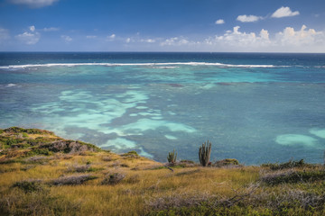 Oceanside coral reef