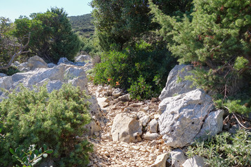 Wanderwegzum Televrino