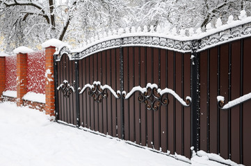 Forged iron gate covered with snow