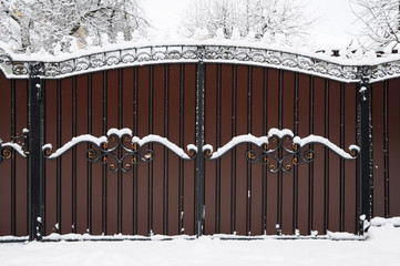 Forged iron gate covered with snow