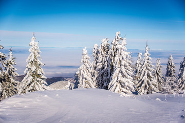 Mountain ski resort, Romania,Transylvania, Brasov, Poiana Brasov