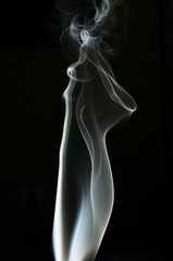 Obraz premium smoke calf on the black background