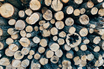 Background of a big pile of wooden logs. Stock for the winter.