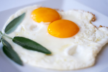 Two fried eggs on plate