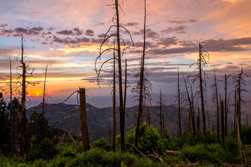 Obraz premium The Catalina Highway and Mt. Lemmon Arizona