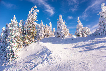 Mountain ski resort, Romania,Transylvania, Brasov, Poiana Brasov