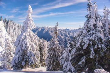 Mountain ski resort, Romania,Transylvania, Brasov, Poiana Brasov