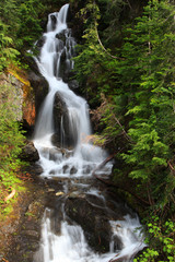 Fototapeta premium Water falls from Glaciers in Mount Rainier national park