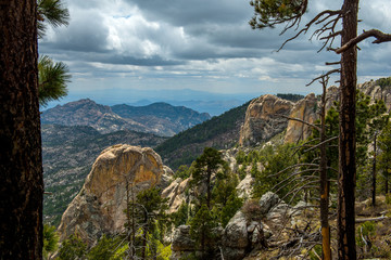 The Catalina Highway and Mt. Lemmon Arizona