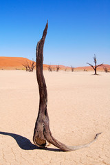 Wonderful Sossusvlei in Namibia