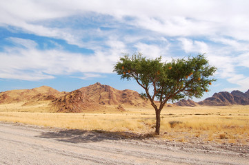 Fototapeta na wymiar Landscape near Sossusvlei in Namibia