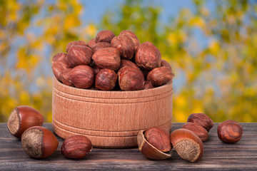hazelnuts in a wooden bowl on  dark board with blurred garden background