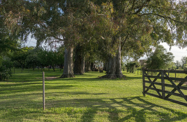 Open gate in a field in Argentina, tranquera Argentine