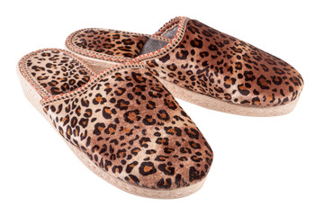 female domestic leopard slippers isolated on white background
