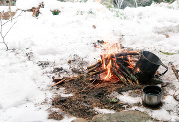 cooking on the fire, survival in the wild