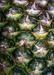 Fototapeta premium pineapple