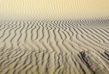 Pattern of sand dune of Maranjab Desert in Iran