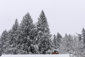 A view of SE Portland Oregon in Historic Snow storm in 2017