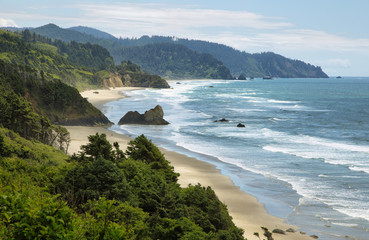 View of wild beach in Oregon