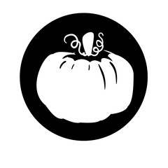 pumpkin vegetable icon image vector illustration design 