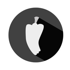 bell pepper vegetable icon image vector illustration design 