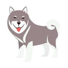 cartoon cute dog icon over white background. coloful design. vector illustration