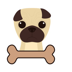 cute dog and bone icon over white background. colorful design. vector illustration