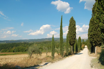 Fototapeta na wymiar Beautiful Toscany in Italy