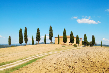 Beautiful Landscape in the Toscany