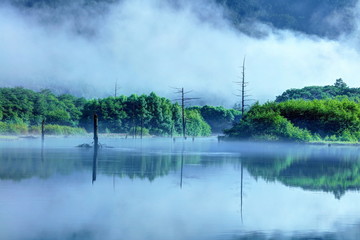 Fototapeta na wymiar 朝靄の大正池