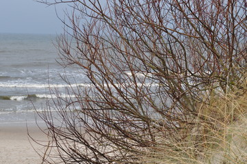 Polnische Ostsee - Dünen zu Neujahr