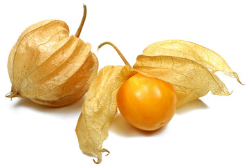 Physalis isoliert auf weißem Hintergrund